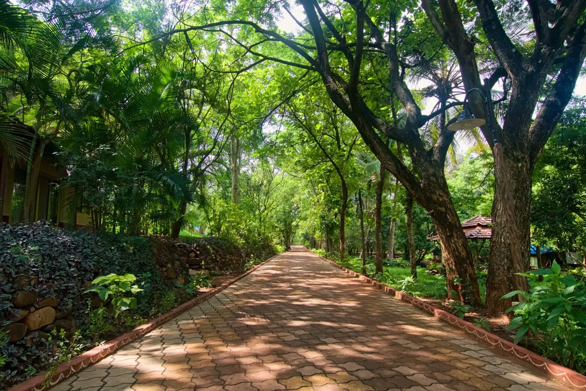 Radha Kunj gardens at the Art of Living International Center, Bengaluru