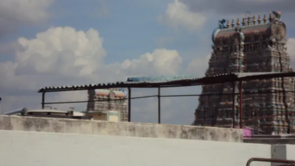 Meenakshi Amman Temple towers, Madurai (city photo, not the ashram)